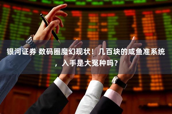 银河证券 数码圈魔幻现状!几百块的咸鱼准系统,入手是大冤种吗?
